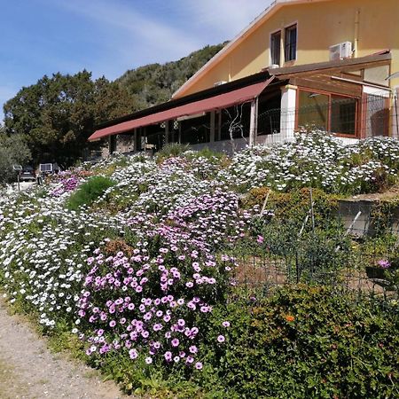 Il Lentischio Hotel Cala Sapone Luaran gambar