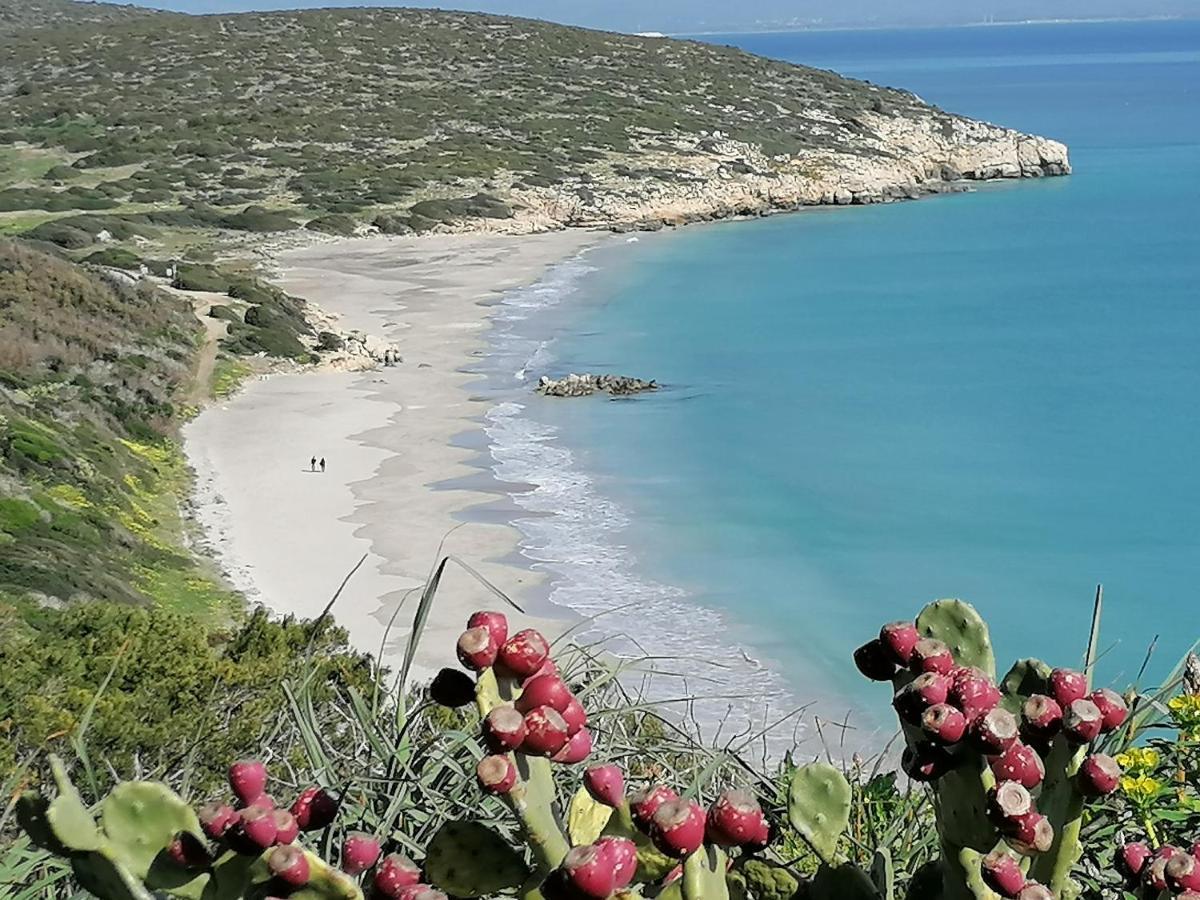 Il Lentischio Hotel Cala Sapone Luaran gambar