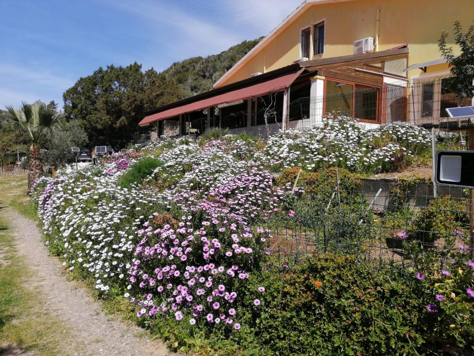 Il Lentischio Hotel Cala Sapone Luaran gambar